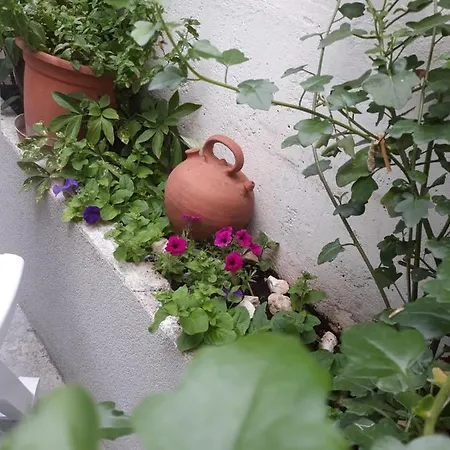 Διαμέρισμα Alena Τρογκίρ