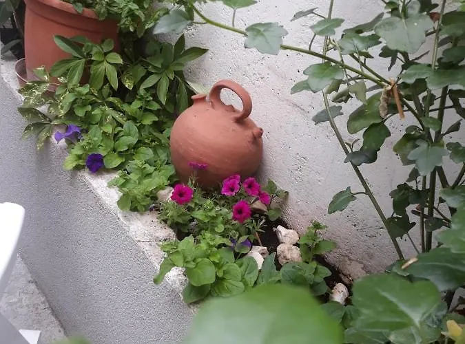 شقة Alena تروغير